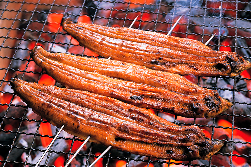 うなぎ割烹「蒲焼き のん㐂」